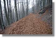 Montseny_155.jpg