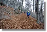 Montseny_156.jpg