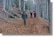 Montseny_157.jpg
