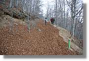 Montseny_158.jpg