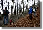 Montseny_160.jpg