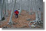 Montseny_161.jpg