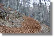 Montseny_163.jpg