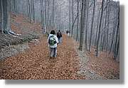 Montseny_170.jpg