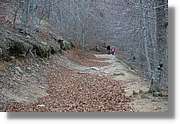 Montseny_172.jpg