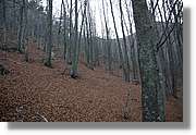 Montseny_174.jpg