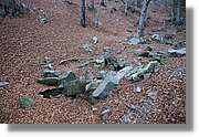 Montseny_176.jpg