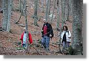 Montseny_177.jpg