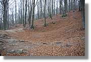 Montseny_181.jpg