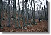 Montseny_184.jpg