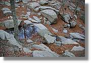 Montseny_185.jpg