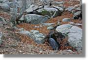 Montseny_187.jpg