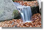 Montseny_188.jpg