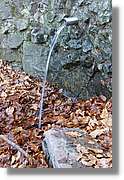Montseny_191.jpg