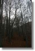 Montseny_195.jpg