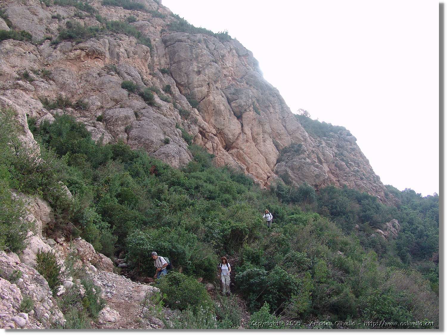 Montserrat_064.jpg