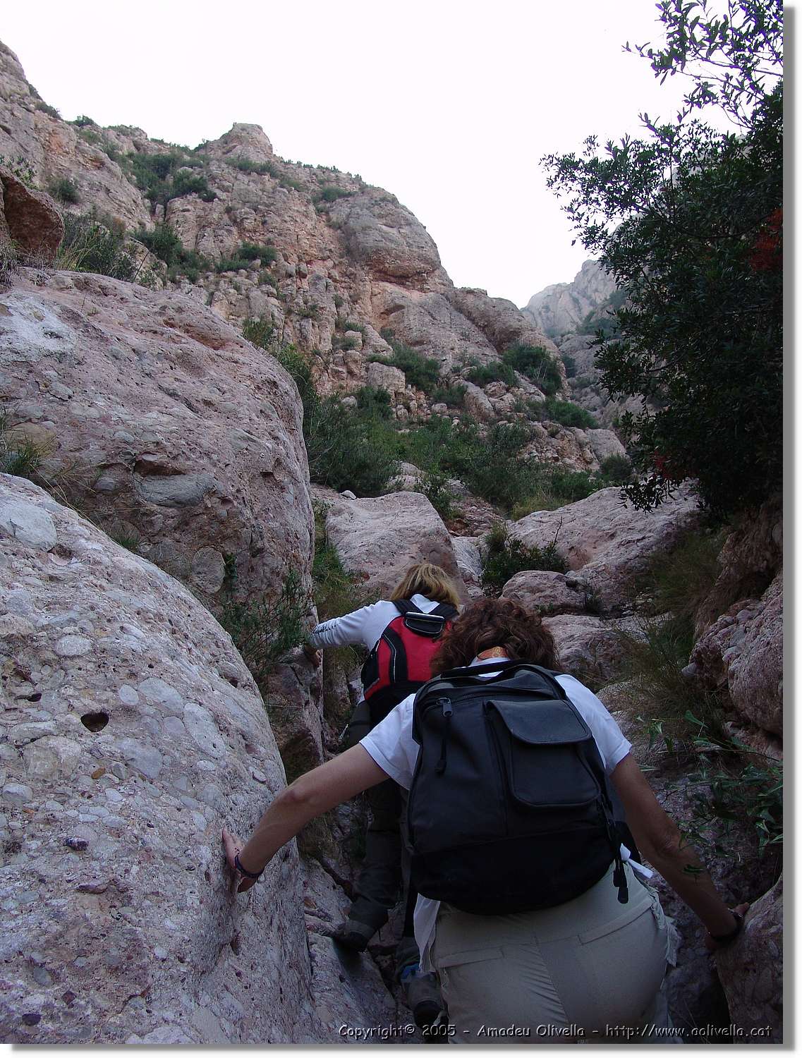 Montserrat_068.jpg