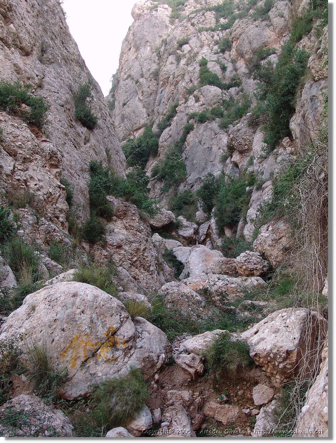 Montserrat_069.jpg