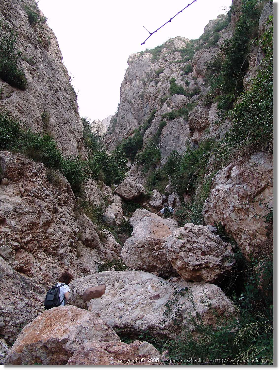 Montserrat_070.jpg