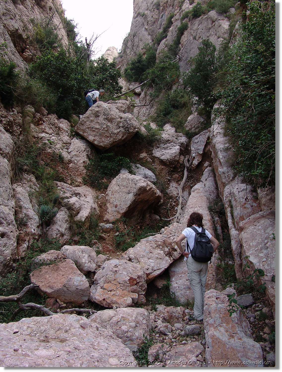 Montserrat_071.jpg