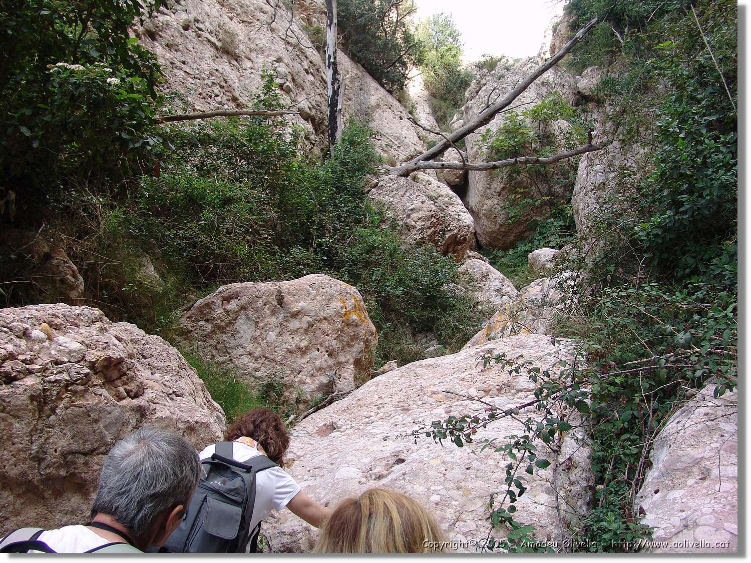 Montserrat_075.jpg