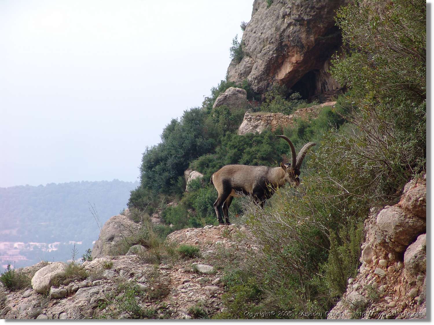 Montserrat_081.jpg