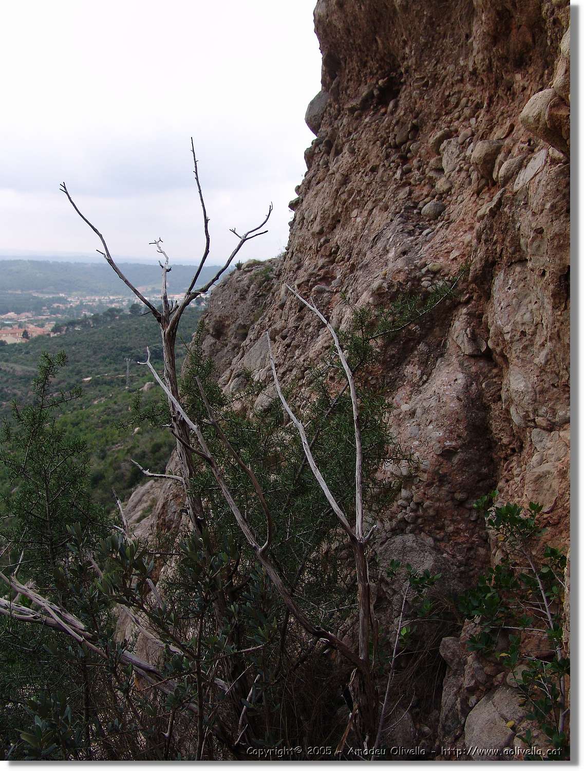 Montserrat_087.jpg