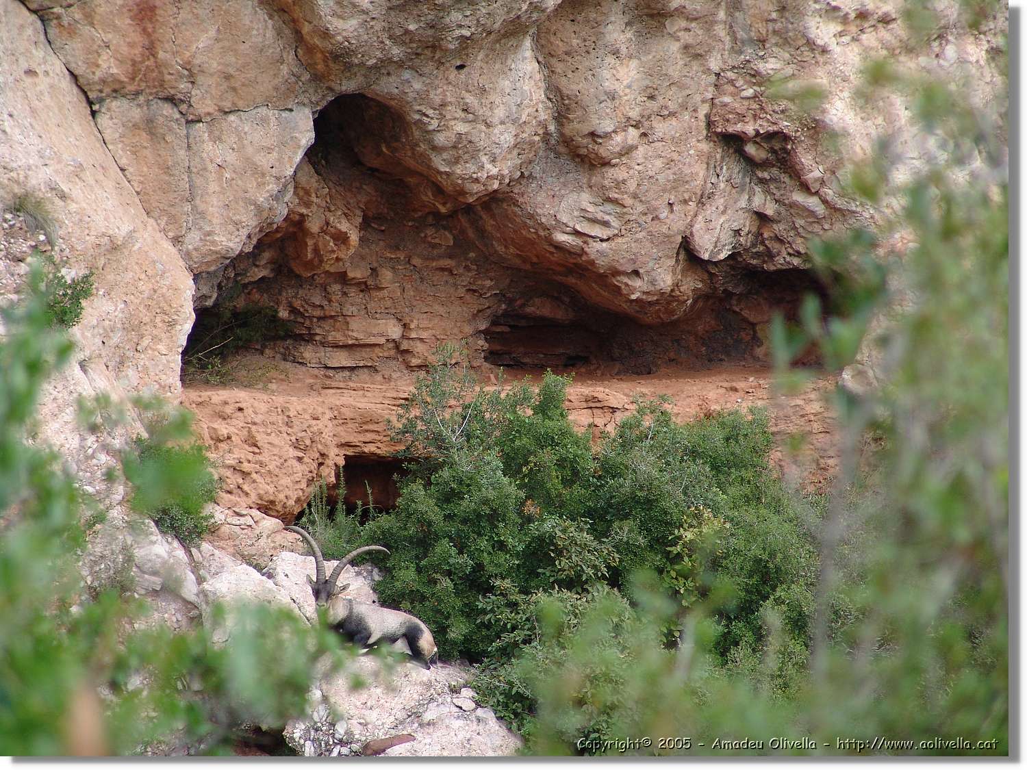 Montserrat_098.jpg