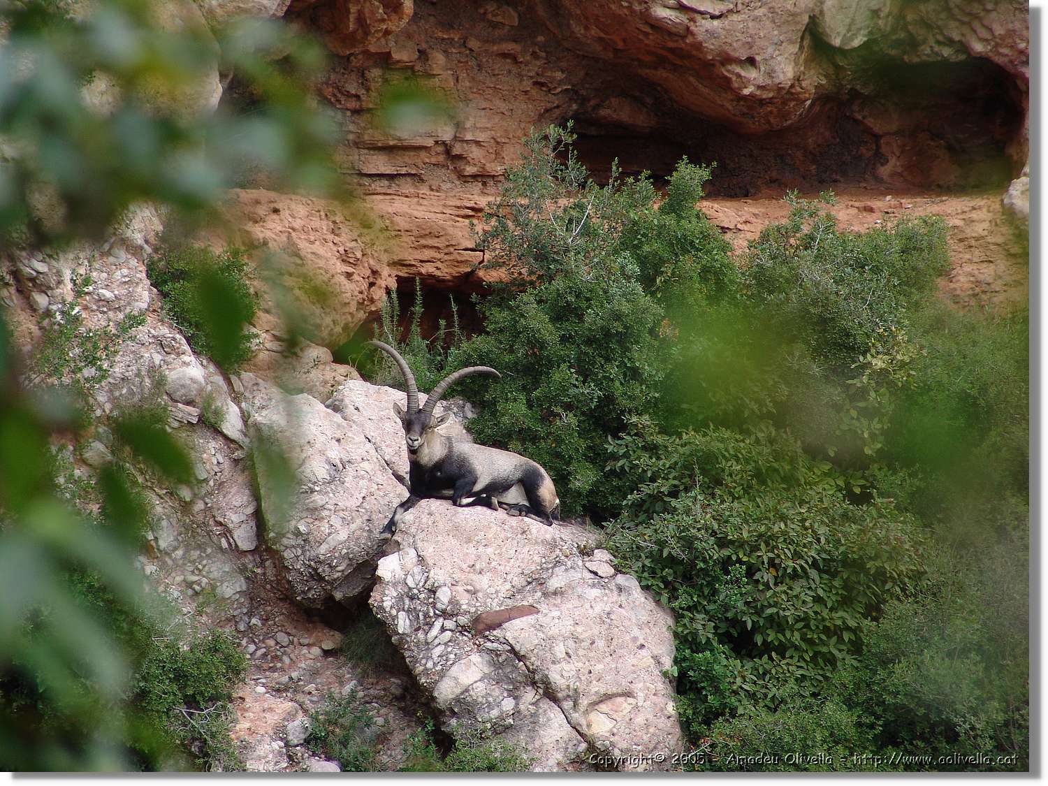 Montserrat_099.jpg