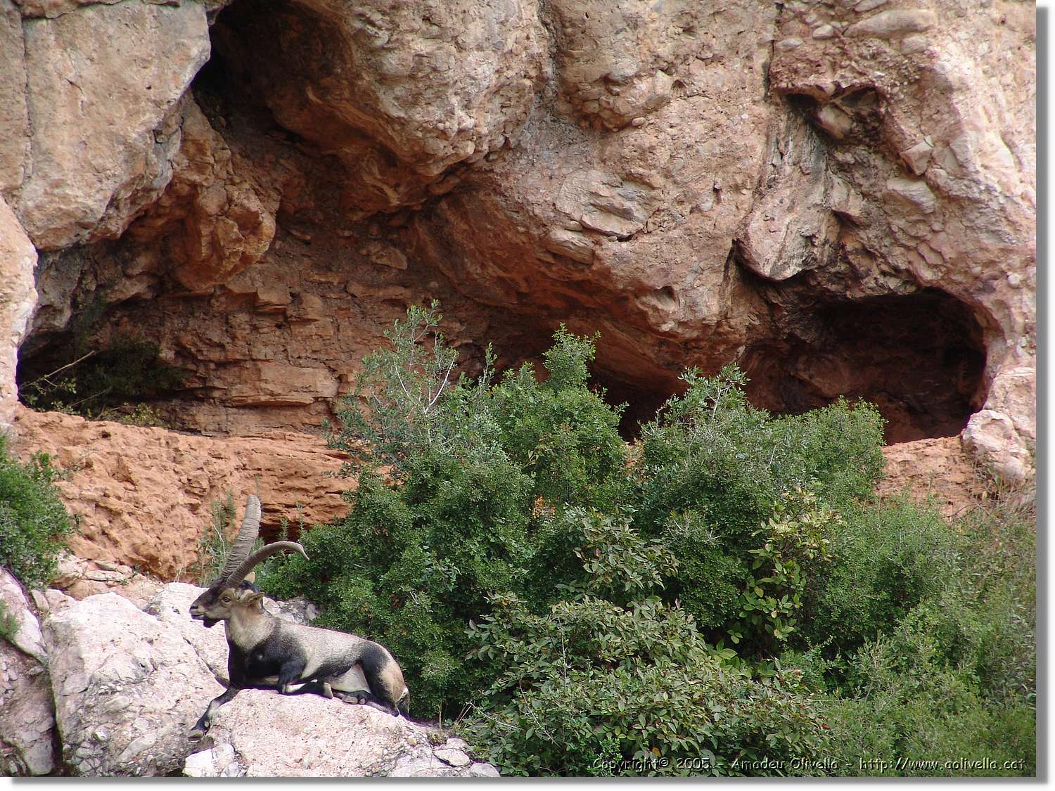 Montserrat_100.jpg