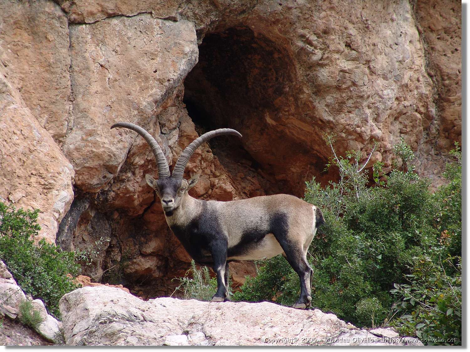 Montserrat_103.jpg