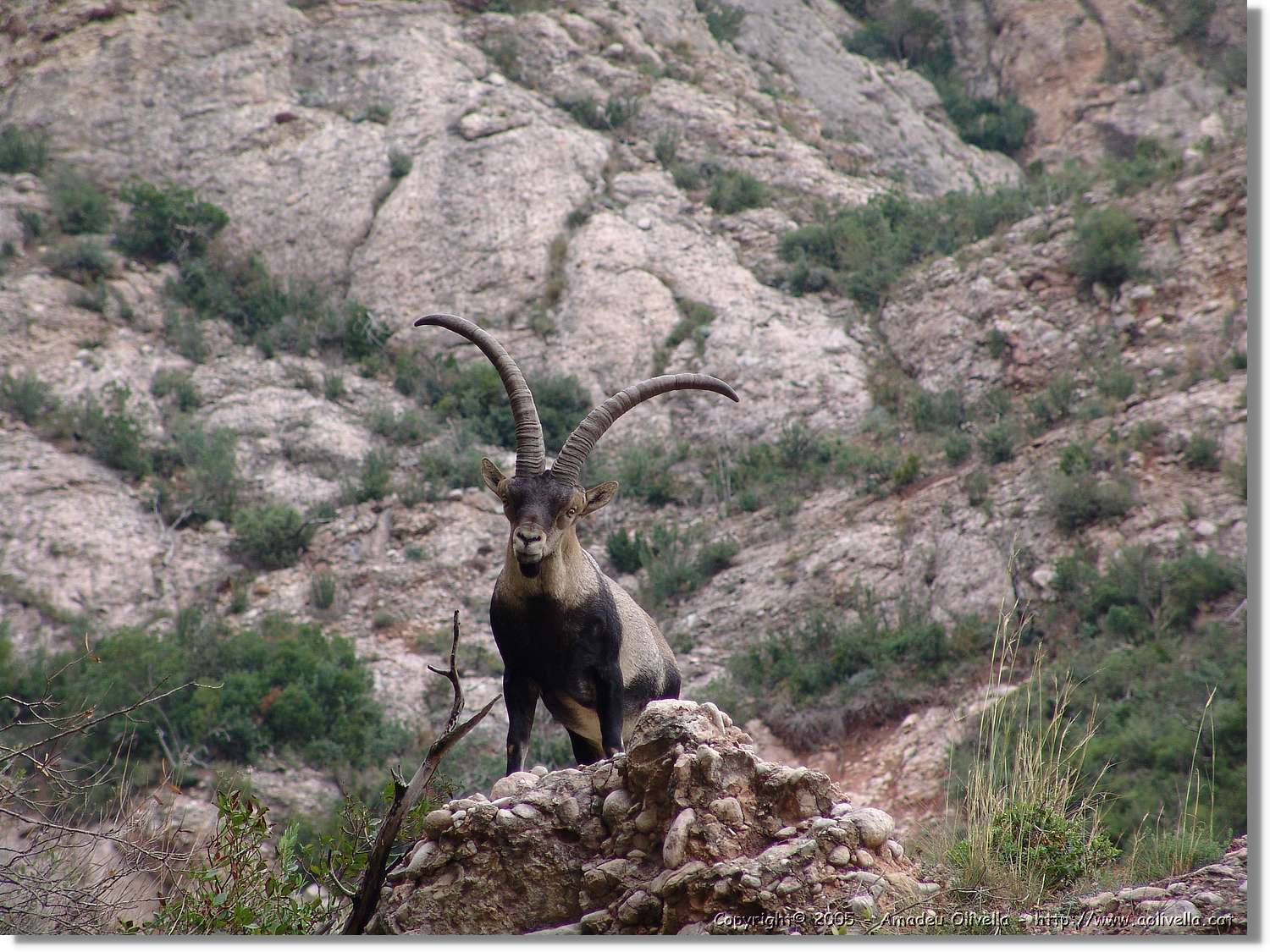 Montserrat_104.jpg