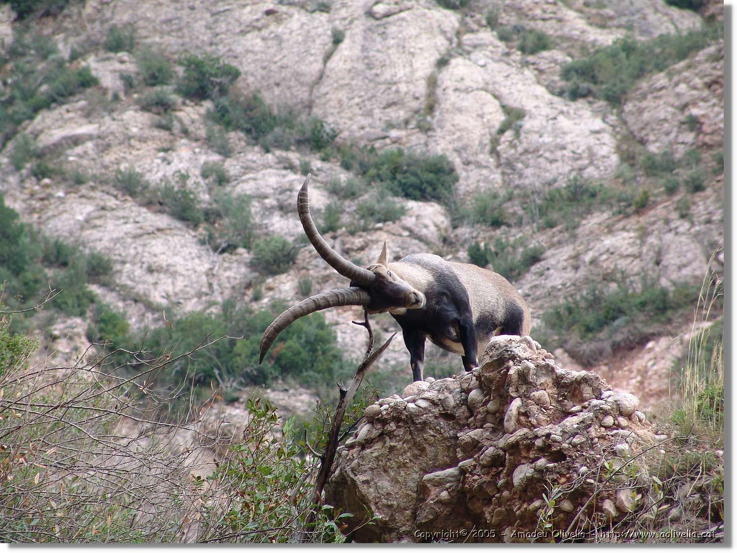 Montserrat_105.jpg