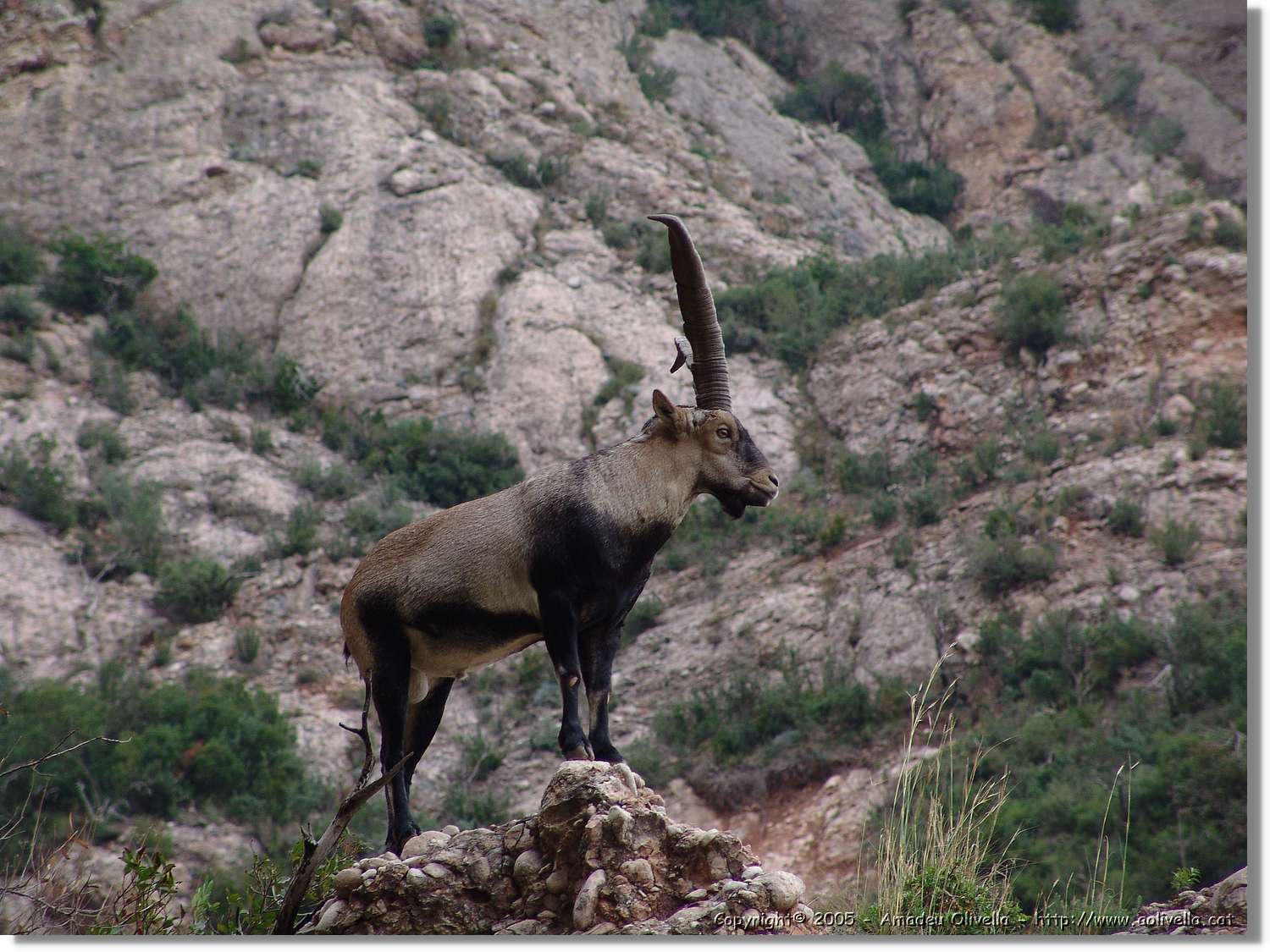 Montserrat_106.jpg