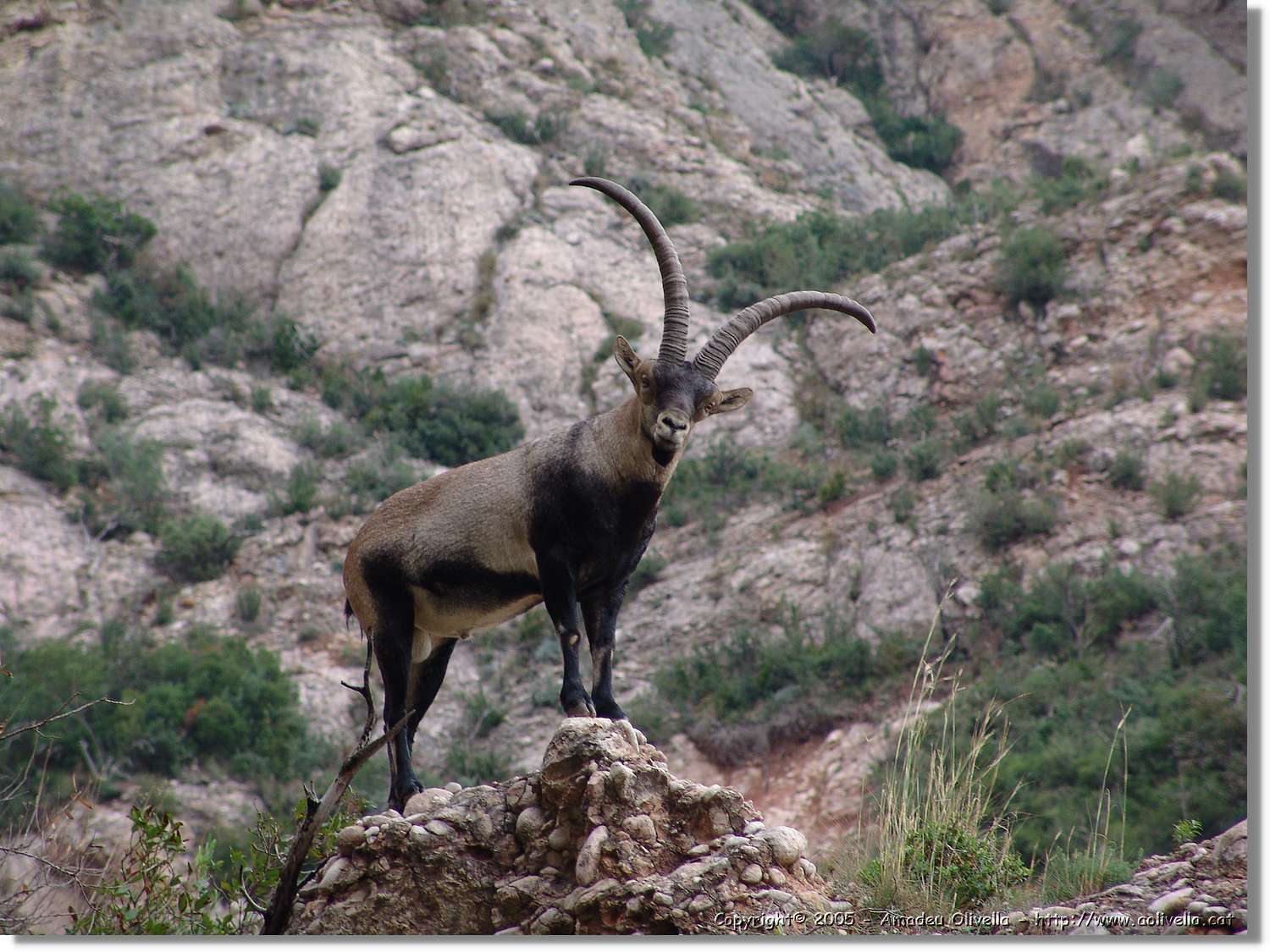 Montserrat_107.jpg