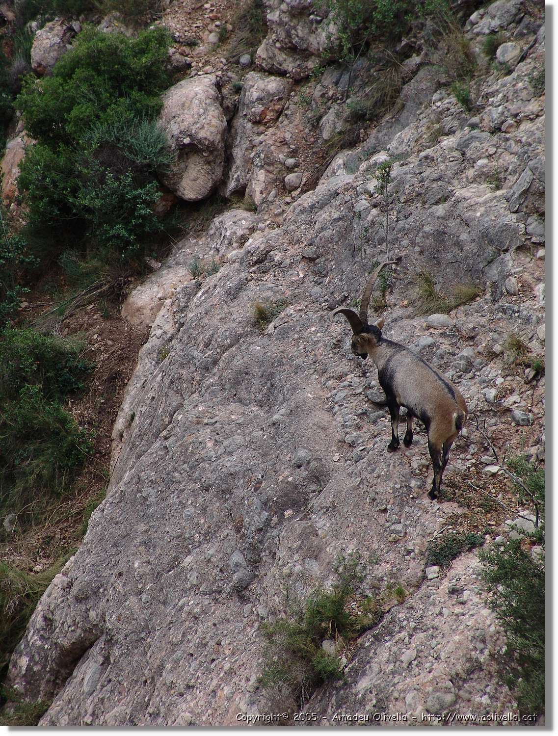 Montserrat_113.jpg