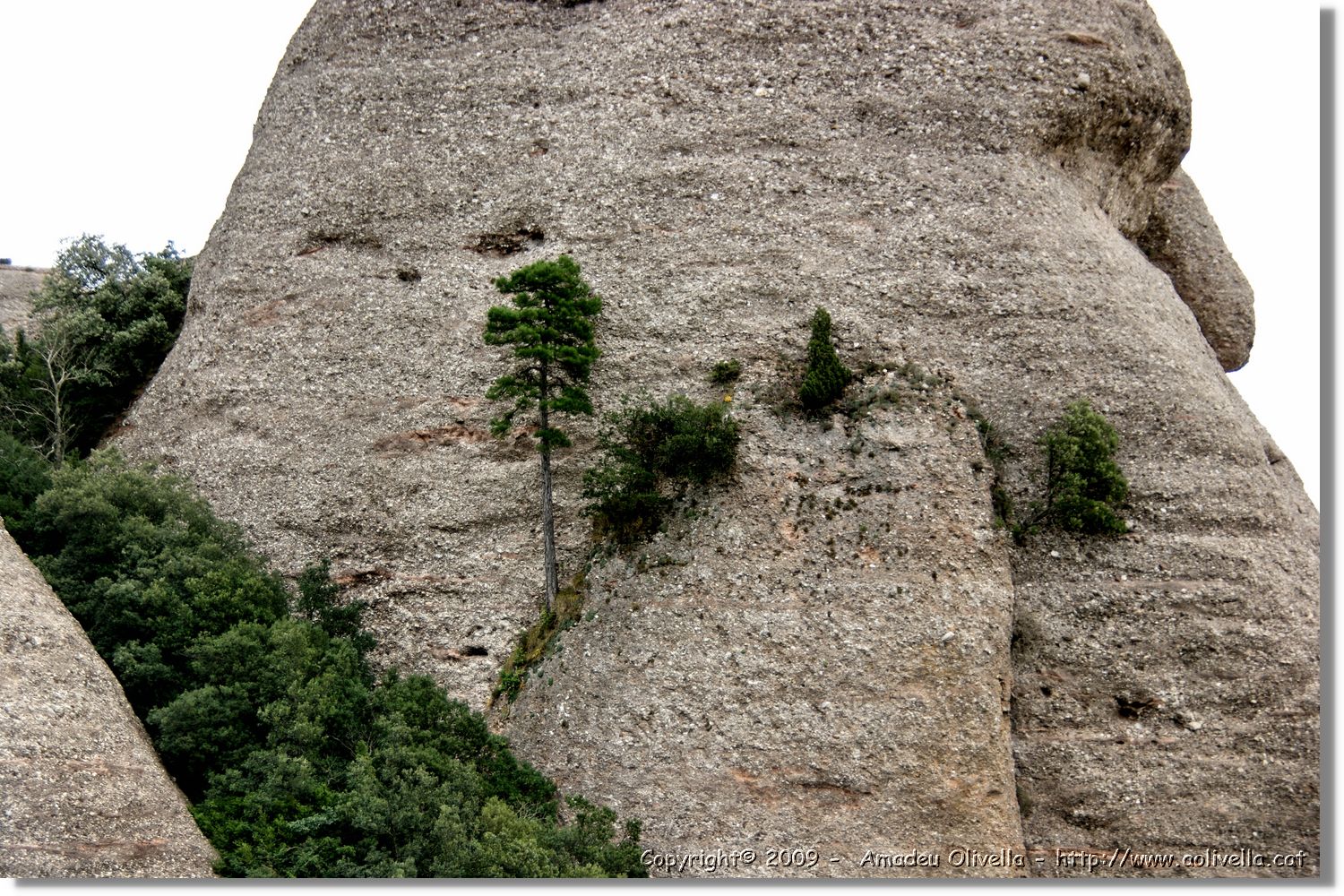 Montserrat_080.jpg