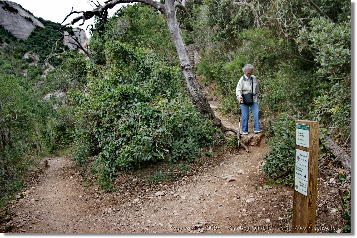 Montserrat_109.jpg