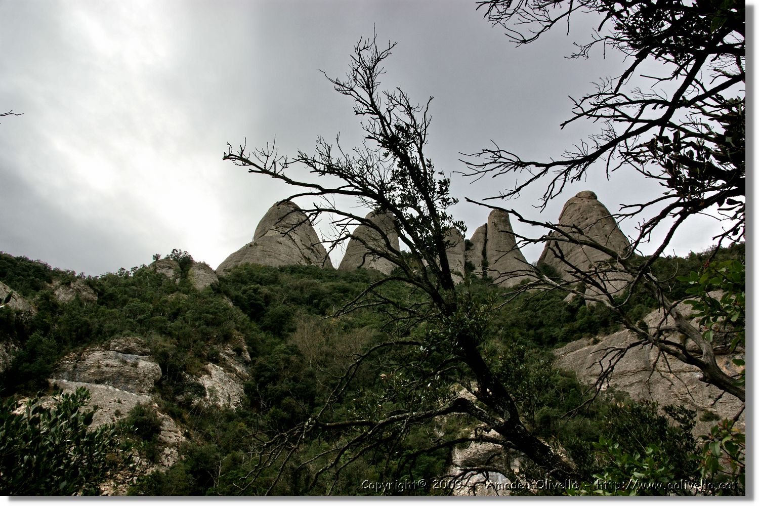 Montserrat_115.jpg