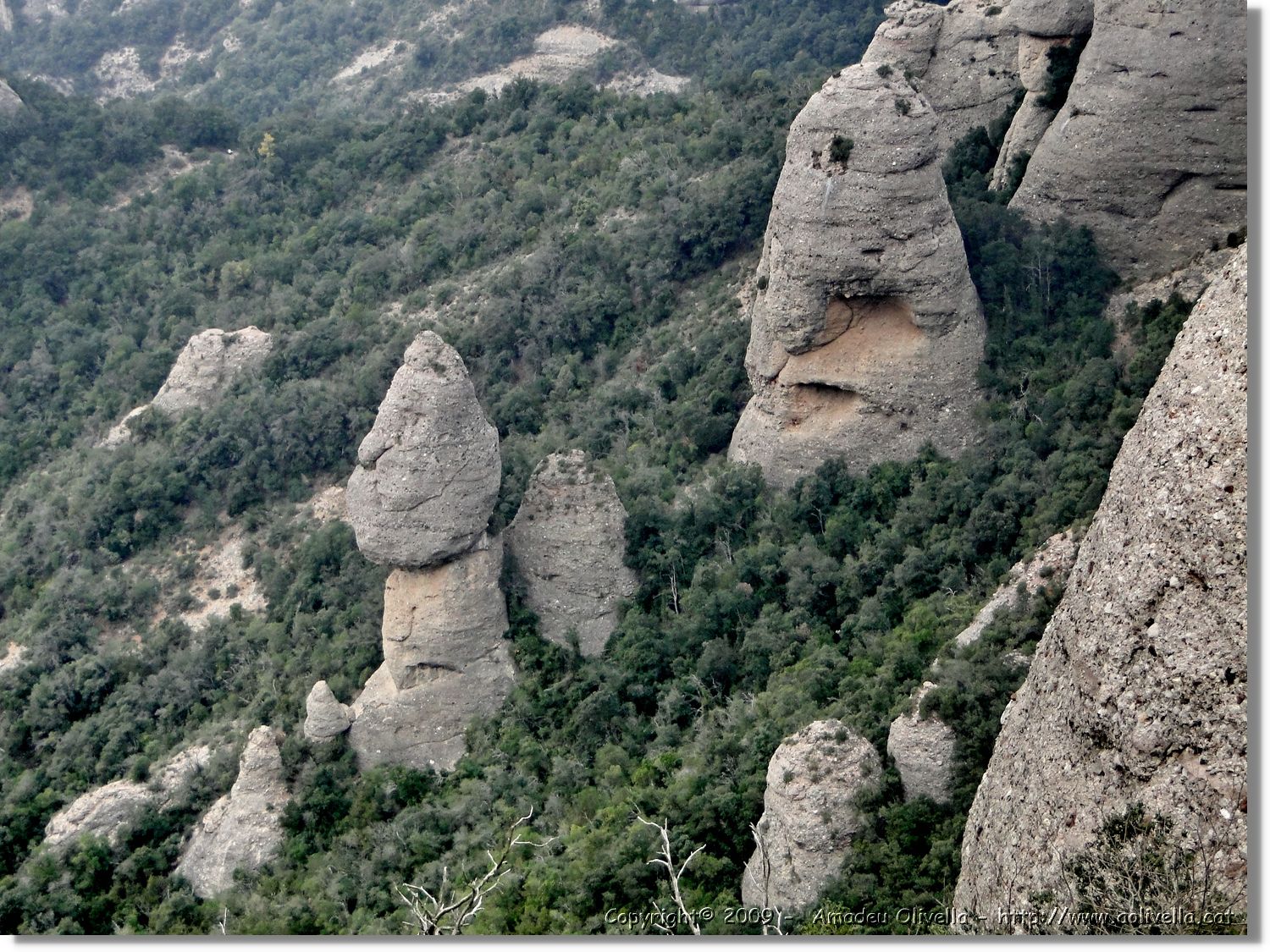 Montserrat_278.jpg