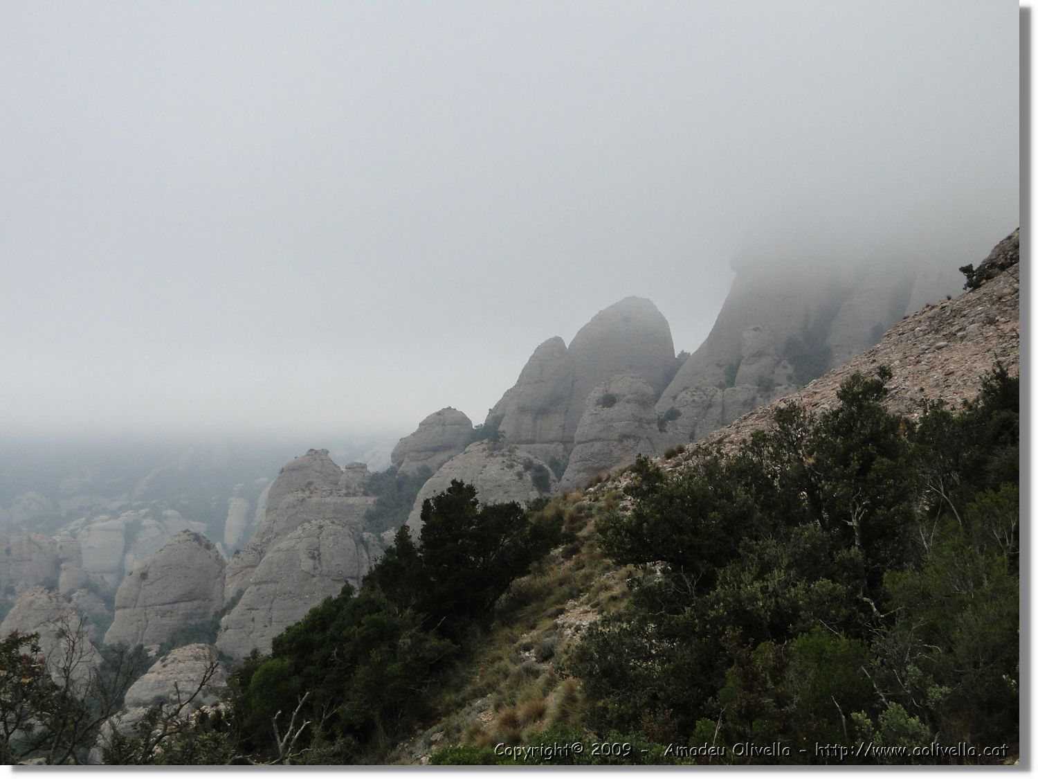 Montserrat_335.jpg