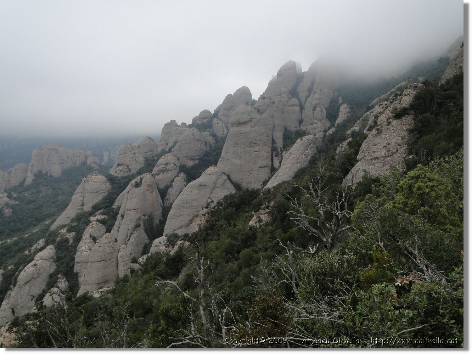 Montserrat_337.jpg