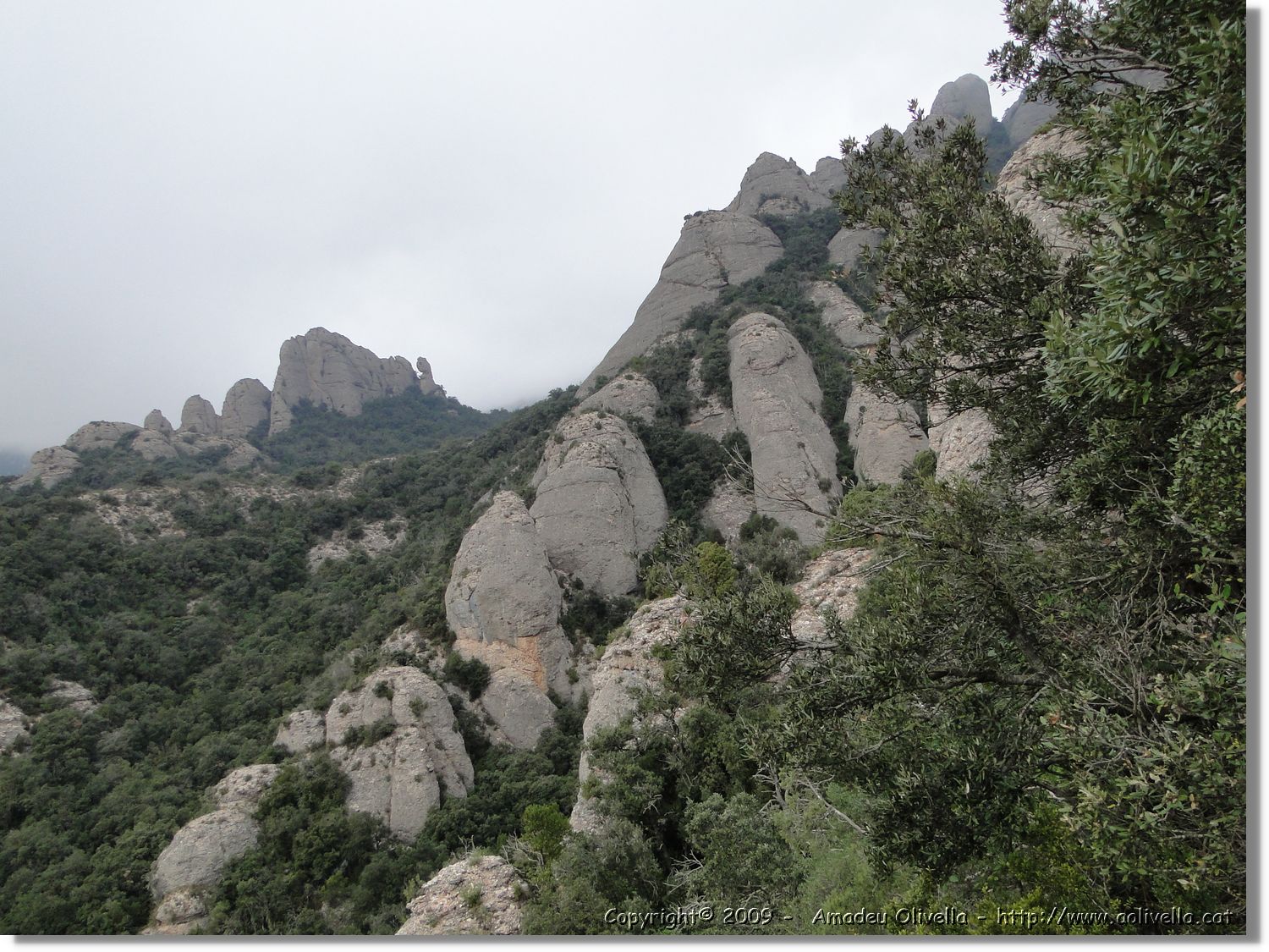 Montserrat_346.jpg