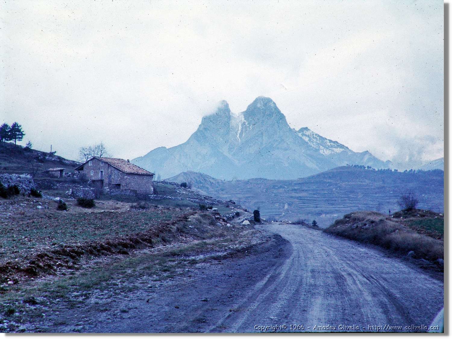 Pedra_001.jpg