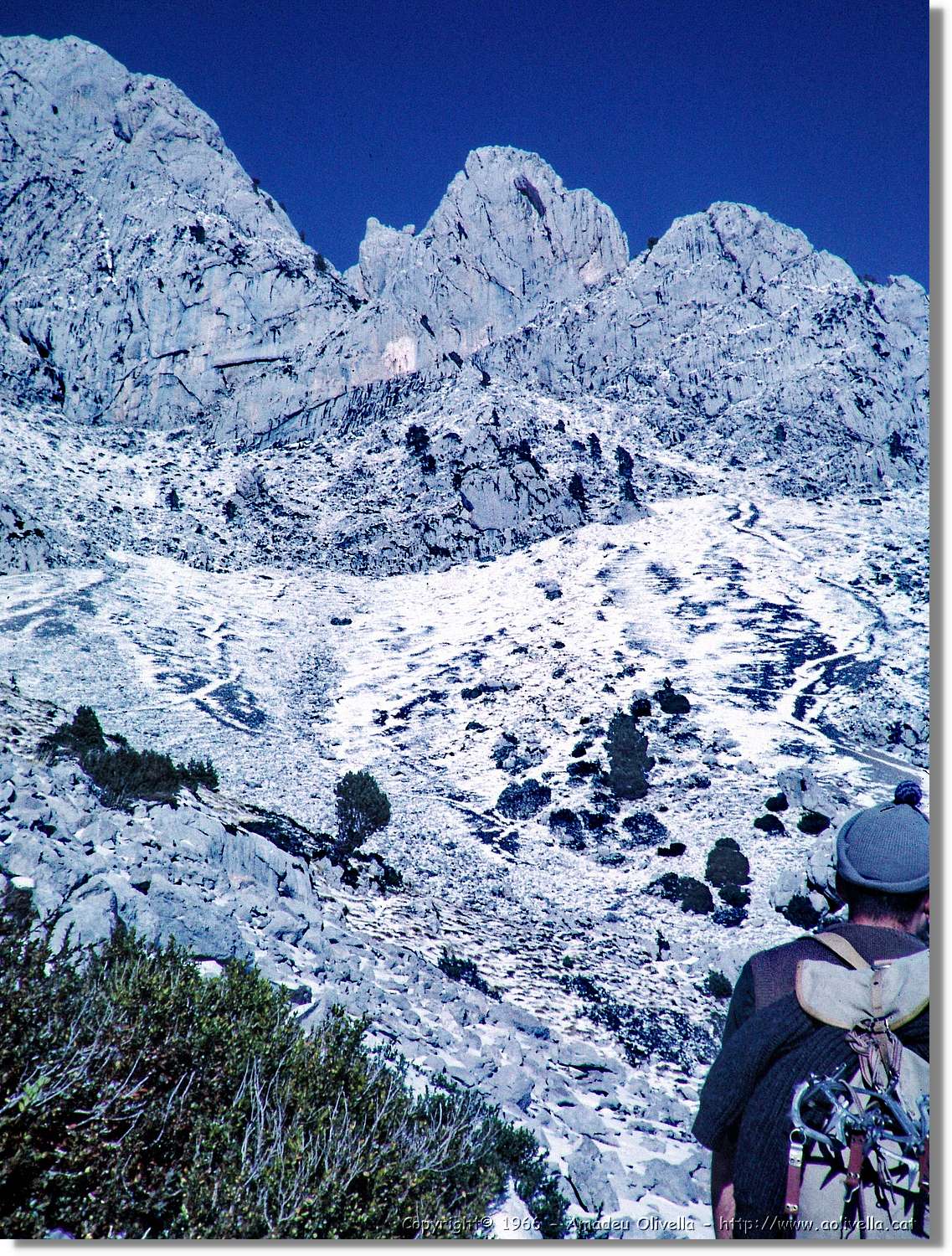 Pedra_015.jpg
