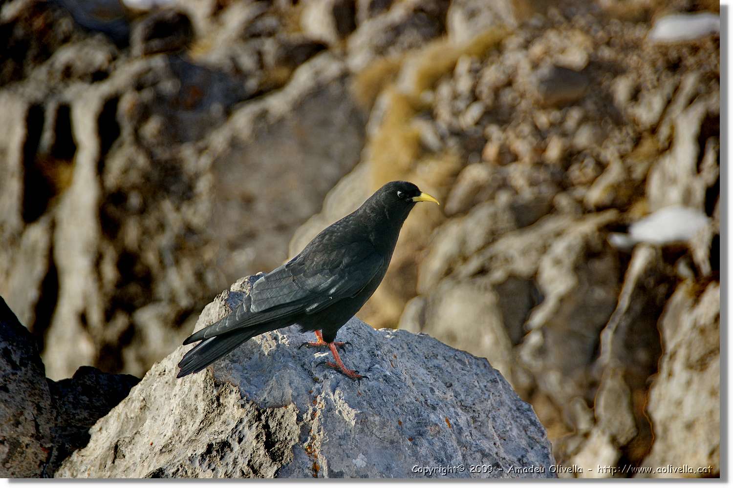 Pedraforca_187.jpg