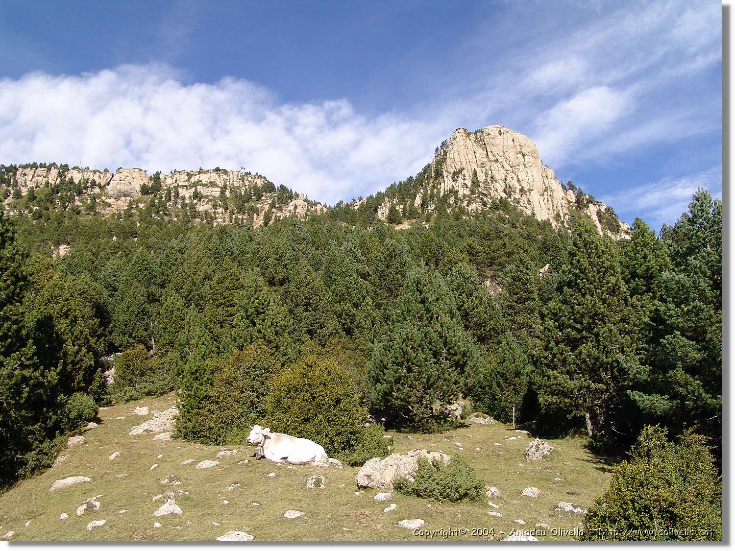 Peguera_103.jpg