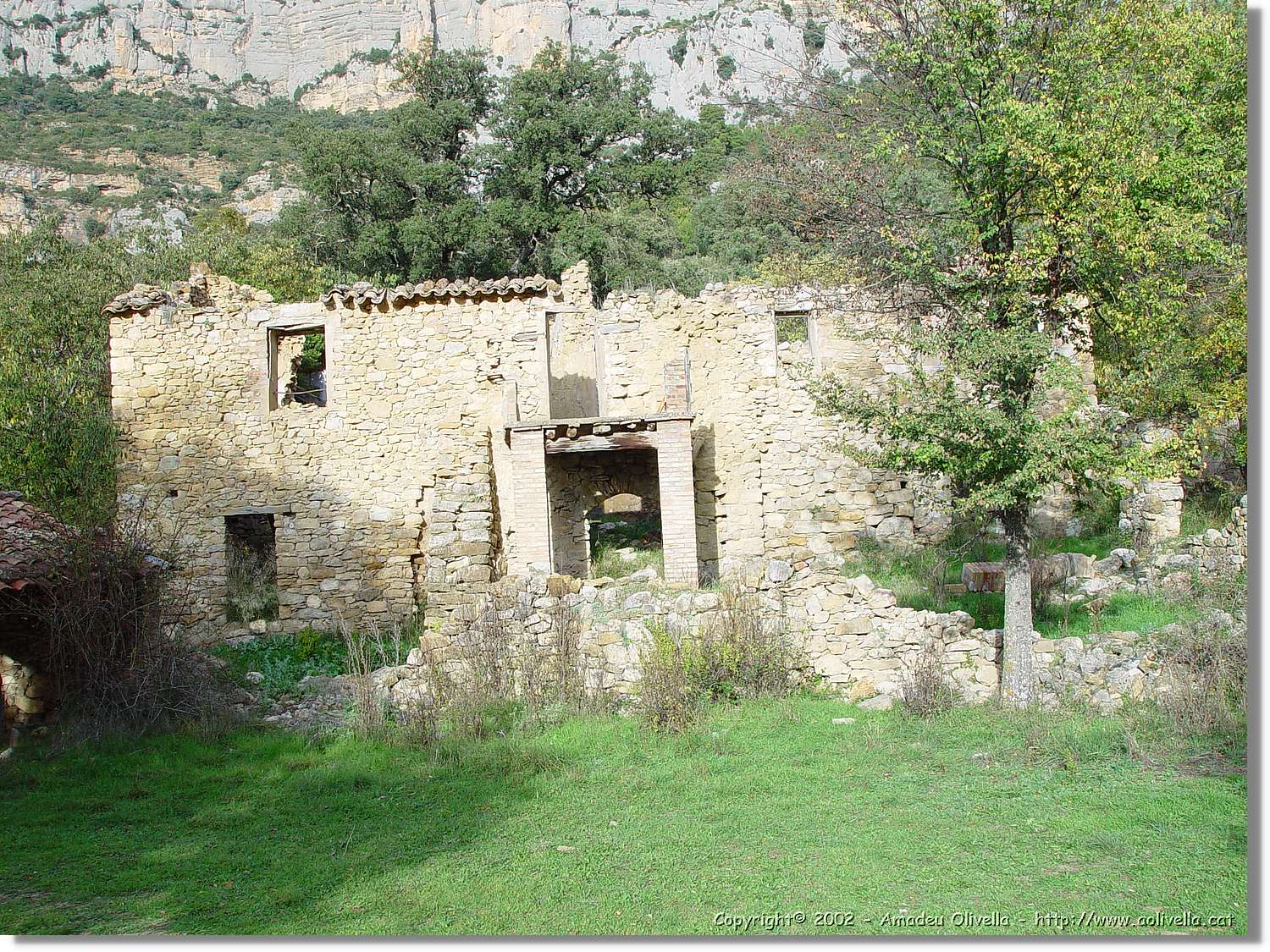 Pertusa_83.jpg