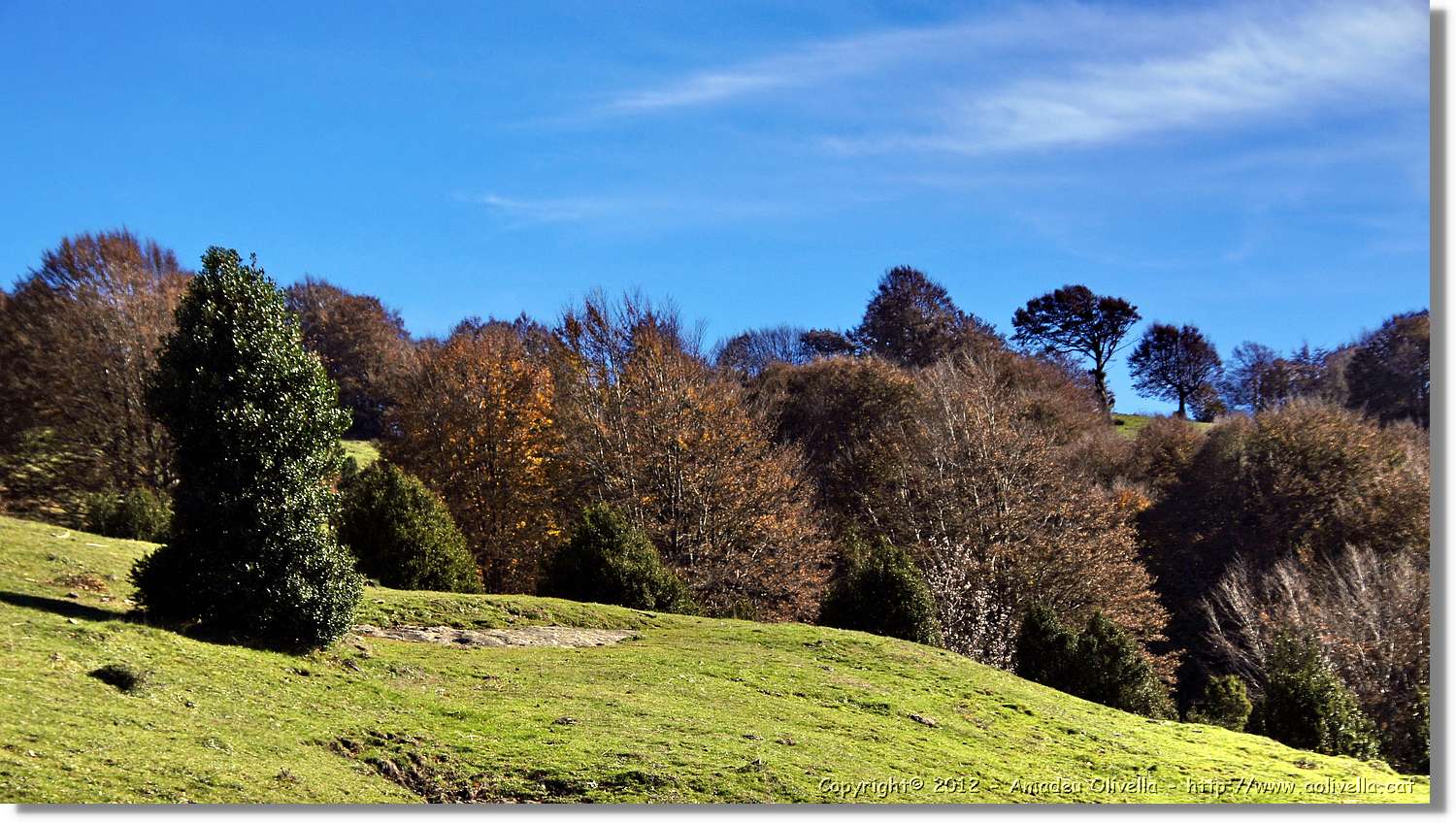 Puigsacalm_091.jpg