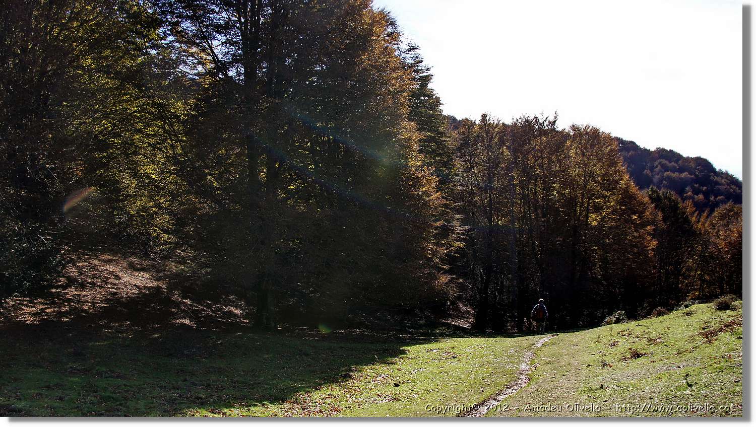 Puigsacalm_093.jpg